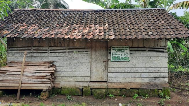 Bangunan Madrasah Raudatul Jannah di Kampung Selaeurih, Desa Nangela, Kecamatan Tegalbuleud, Kabupaten Sukabumi, dalam keadaan menghawatirkan. | Istimewa