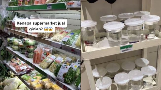 Viral ikan cupang dijual di supermarket. (Tiktok/stanislausferry)