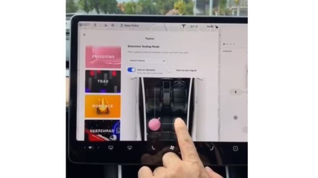 Fitur jahil yang ada di mobil Tesla (Facebook)