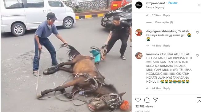 Kejam! Kuda Tersungkur Kelelahan Malah Dipecut, Warganet Geram