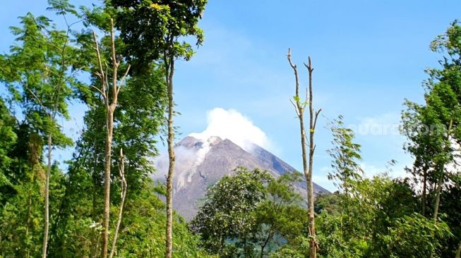 Gunung Merapi Kembali Luncurkan Awan Panas Delapan Kali