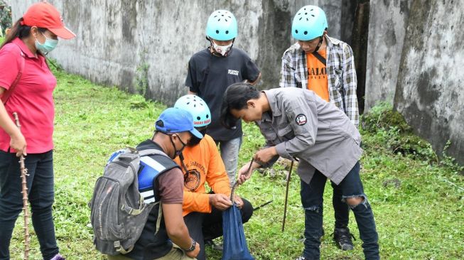 Waduh, Belasan Ular Ditangkap di Calon Rumah Sakit Darurat Covid-19 Solo