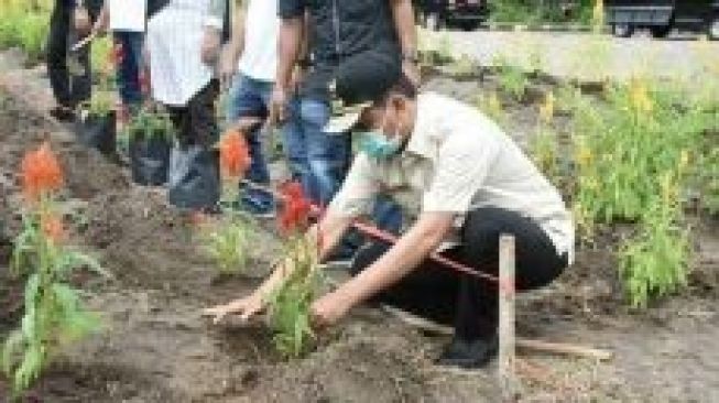 Pemko Pariaman Bakal Percantik Kawasan Wisata dengan Taman Bunga