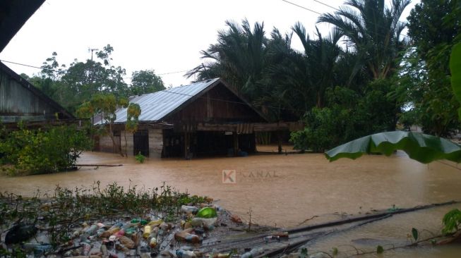 LAPAN Ungkap Penyebab Banjir Kalsel karena 139 Hektar Hutan Hilang
