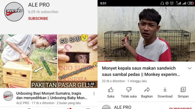 Parah! Isi Konten Youtube Menyiksa Hewan, Warganet Ramai Ajak Report Akun