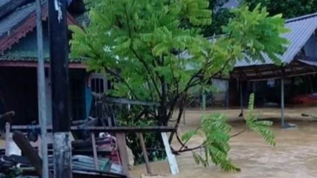 Ribuan Rumah Warga Terdampak Banjir Besar di Kalsel