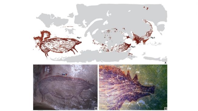 Ditemukan Lukisan Gua Tertua Di Dunia, Ternyata Lokasinya Di Sulawesi