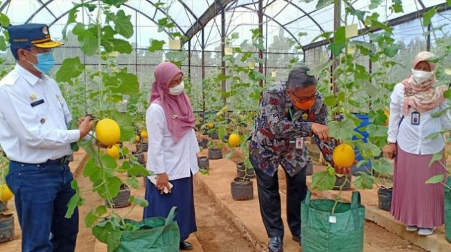 Kebun Bibit Cilangkap, Local Nursery Transplant for Tropical Plants