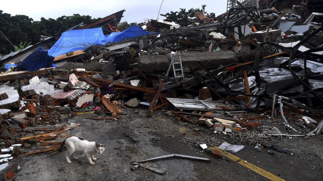 Seekor kucing melintas di dekat bangunan yang roboh akibat gempa bumi magnitudo 6,2 di Mamuju, Sulawesi Barat, Sabtu (16/1/2021). [ANTARA FOTO/Sigid Kurniawan]