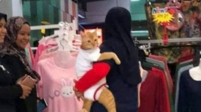 Super Gemas! Kucing Ini Diajak Majikan Shopping, Didandani Seperti Bayi