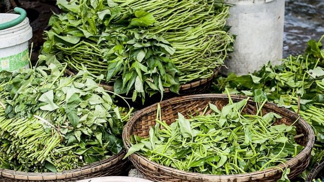 Ditanam untuk Tugas, Kangkung Milik Gadis Ini Malah 'Dieksekusi' Ibu