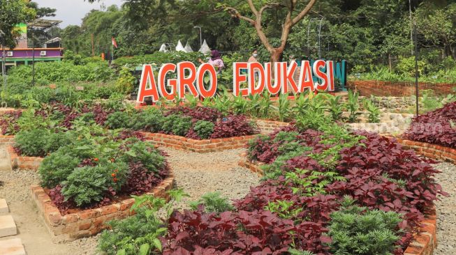 Warga berkunjung untuk berwisata di Agro Wisata Ragunan, Jakarta Selatan, Minggu (17/1/2021). [Suara.com/Alfian Winanto]