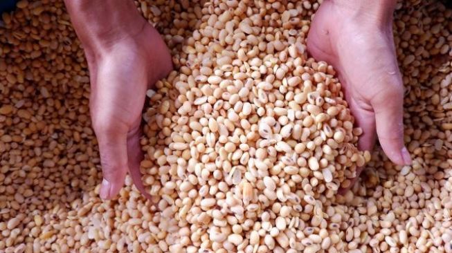 Harga Kedelai di Wonogiri Naik Lagi, Nyaris Rp10.000 per Kg