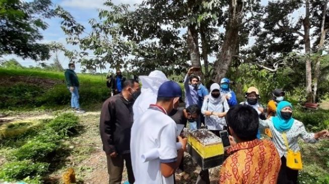 Dukung Lestarikan Hutan Kota, PHKT Gelar Pelatihan Budidaya Lebah Madu
