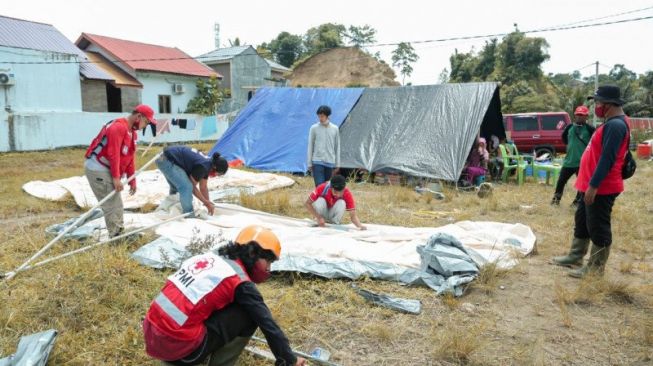 Bantu Korban Gempa di Mamuju, PMI Dirikan Tenda Pengungsian