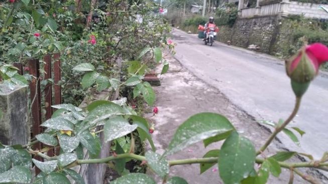 Warga Boyolali Alami Iritasi Mata Dampak Hujan Abu Erupsi Merapi