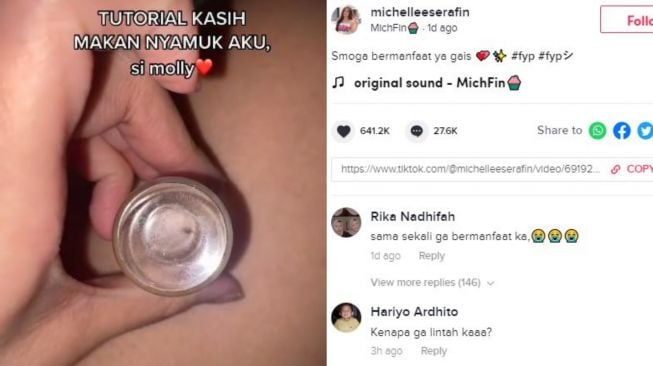 Viral wanita bagikan tutorial kasih makan nyamuk. (Tiktok/@michelleeserafin)