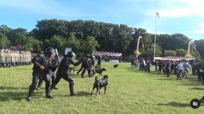 Anjing polisi lepas saat simulasi demo. (Instagram/@dewata.terkini)