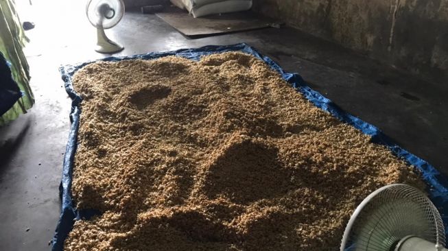 Harga Kedelai Naik, Pedagang Tempe dan Tahu Harap PU Bulog Kendalikan Impor