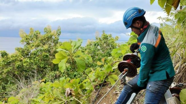 Petugas PLN melakukan perbaikan jaringan listrik pasca gempa di Majene dan Mamuju, Sulawesi Barat / [Foto PLN]