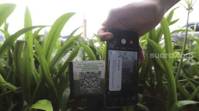 Warga memindai kode batang (barcode) untuk mengetahui jenis tanaman yang ditanam di kawasan Bundaran Hotel Indonesia, Jakarta, Kamis (21/1/2020). [Suara.com/Angga Budhiyanto]