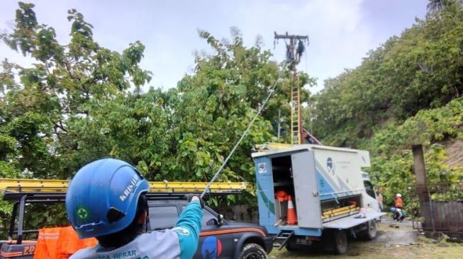 Petugas PLN melakukan perbaikan jaringan listrik pasca gempa di Majene dan Mamuju, Sulawesi Barat / [Foto PLN]