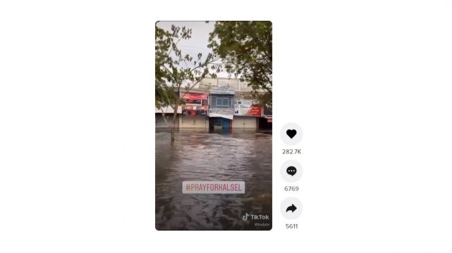 Penyelamatan kucing di tengah banjir Kalsel. [TikTok]