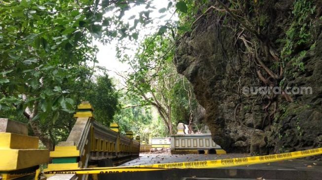 Diguyur Hujan, Pohon Tua di Goa Selarong Ambruk