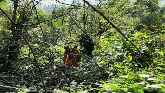 Udin Hilang Misterius saat Buat Jalan Tapak di Hutan Rokan Hilir