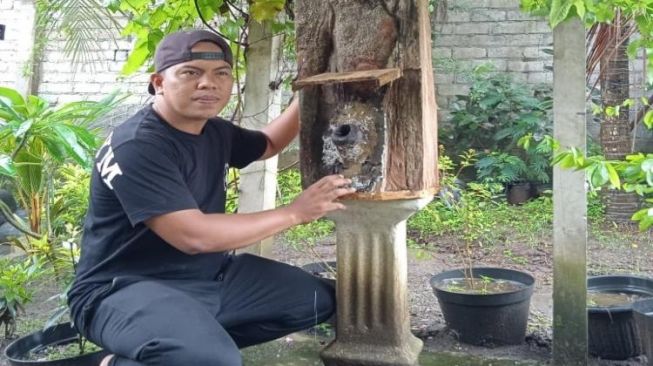 Cerita Sukses Wahyudi, dari Tukang Ukir Jadi Dosen Biologi