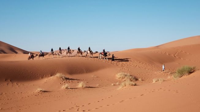 Turun Salju di Gurun Sahara, Cuacanya Minus 3 Derajat