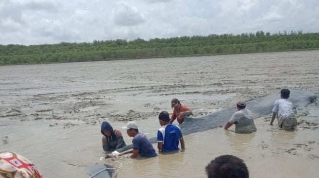 Ikan Paus yang dihalau warga kembali ke laut [dok kominfo OKI]