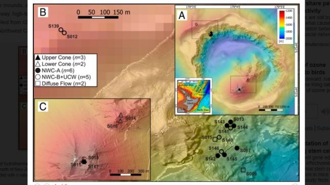 Ventilasi hidrotermal dari Brothers Volcano. [Pnas.org]