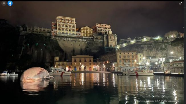 Bangkai paus mati terbesar. [Facebook/Corpo delle Capitanerie di Porto - Guardia Costiera]