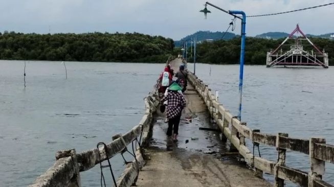 Jembatan Pulau Pasaran Rusak Parah, Warga Khawatir Jika Terjadi Tsunami