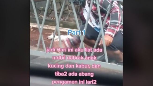 Kucing Mati Ditabrak, Pengorbanan Pria Ini saat Mengubur Bikin Salut