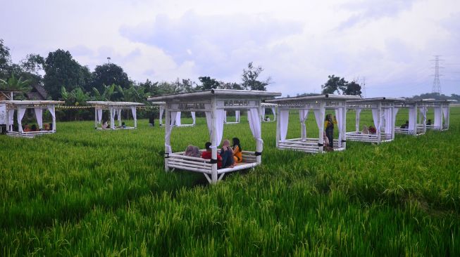 Pengunjung menikmati suasana persawahan saat mengunjungi restoran "Natural" di Desa Hadipolo, Jekulo, Kudus, Jawa Tengah, Rabu (27/1/2021).[ANTARA FOTO/Yusuf Nugroho]