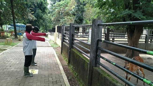 Waduh! Kebun Binatang Jurug Solo Kembali Ditutup Akibat Covid-19