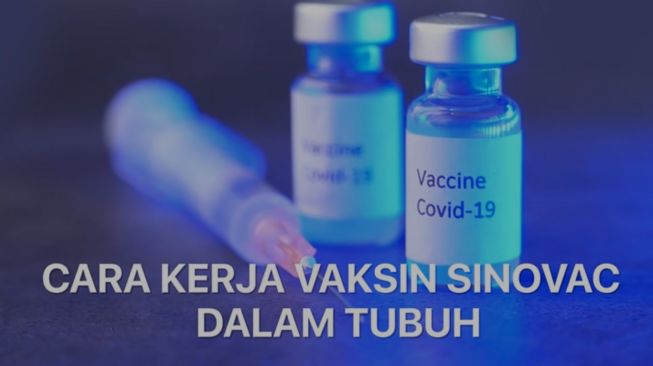 Hari Ini Kaltim Kedatangan 13.380 Vial Vaksin Sinovac, Ini Peruntukannya