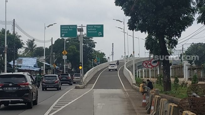 Penampakan  jalan layang atau flyover Tapal Kuda Tanjung Barat dan Lenteng Agung. (Suara.com)