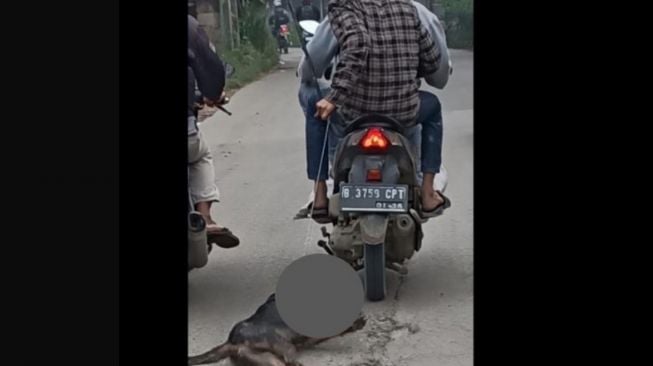 Sadis! Beredar Foto Pria Seret dan Cekik Anjing Pakai Kawat, Diduga Maling