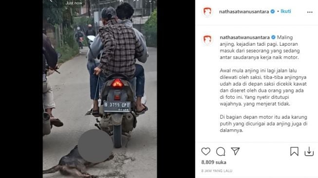 Beredar foto anjing diseret dan dicekik. (Instagram)