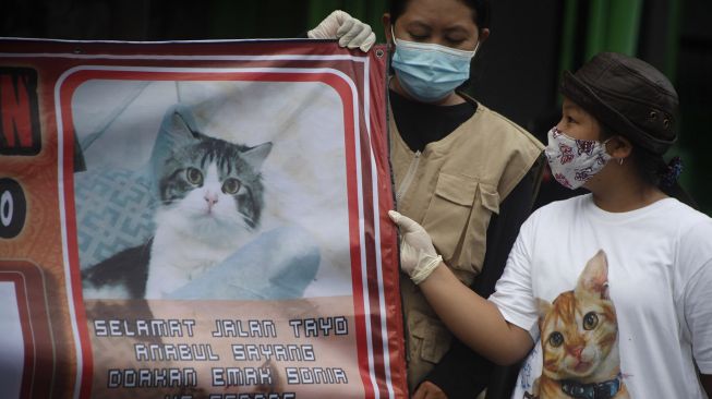 Relawan pecinta satwa memprotes kasus penyembelihan Kucing Tayo di Medan, Sumatera Utara saat aksi solidaritas di Solo, Jawa Tengah, Senin (1/2/2021).  ANTARA FOTO/Maulana Surya
