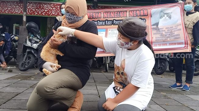 Kucing Disembelih di Medan, Komunitas Rumah Difabel Meong Solo Tak Terima