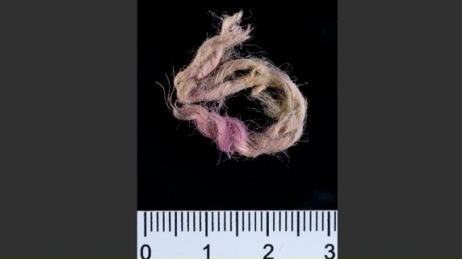 Kain kuno ungu berusia 3.000 tahun. [PLOS One]