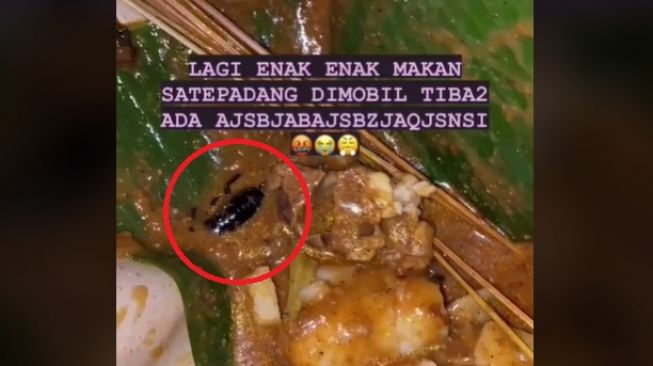 Syok Bukan Main, Viral Wanita Temukan Bangkai Hewan Ini di Sate Pesanan