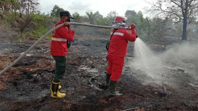 Riau Siaga Darurat Karhutla, DPR: Tindak Tegas Perusahaan yang Melanggar