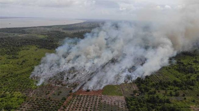 Update Titik Panas Hari Ini: Riau 142, Bengkalis Terbanyak