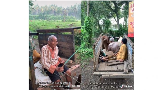 Momen Romantis Kakek Nenek Naik Gerobak Sapi, Warganet: Salfok Sama Sapinya (tiktok.com/@okyarisandireal)