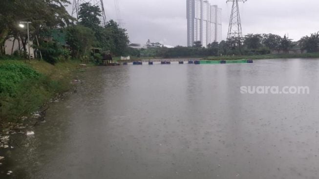 Sejumlah ikan mati di Situ Citongtut, Desa Cicadas, Kecamatan Gunung Putri, Kabupaten Bogor, Jawa Barat, Rabu (3/2/2021). [Suara.com/Andi Ahmad Sulaendi]